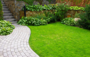 curved garden path creates space