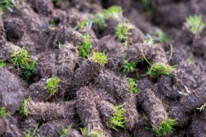 pitch maintenance