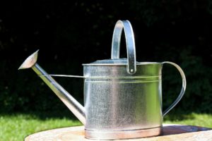 watering can patio