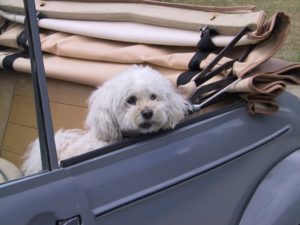 convertible roof cleaner